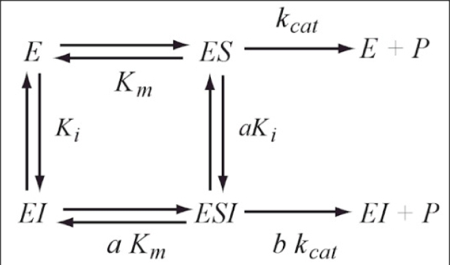 General Modifier Model of enzyme inhibition kinetics by Baici, Botts and Morales