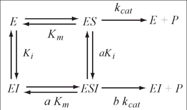 Botts and Morales General Modifier Model General Modifier Model of enzyme inhibition kinetics by Baici, Botts and Morales